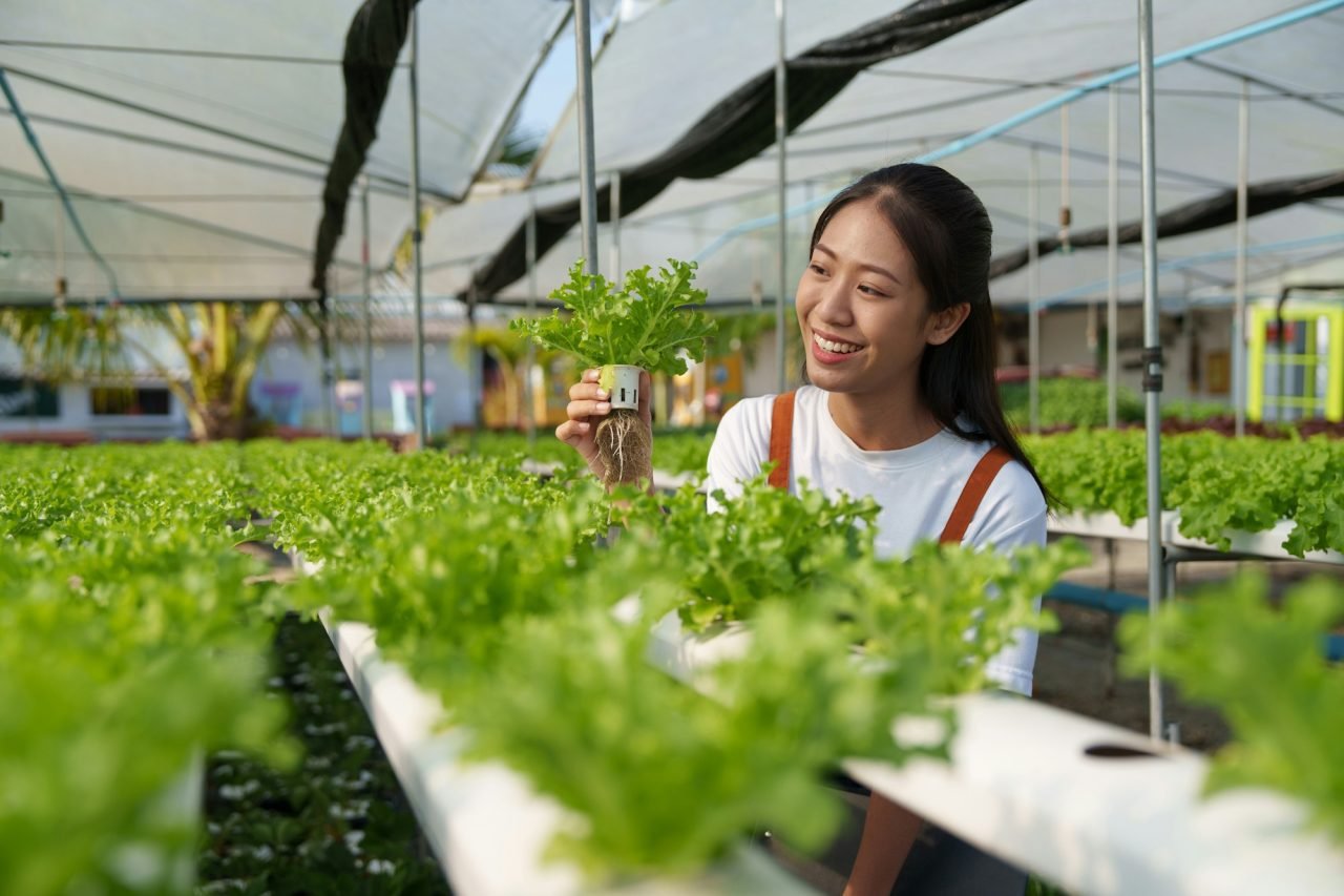 asian-business-owner-observed-about-growing-organic-in-hydroponics-farm-growing-organic-vegetable.jpg