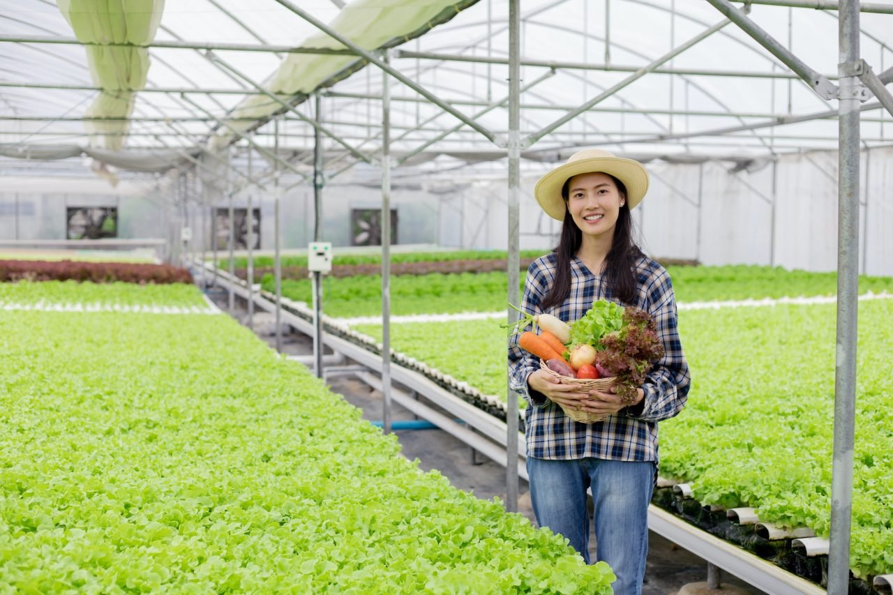 asian-woman-farmer-holding-a-basket-of-vegetables-in-hydroponic-farm-.jpg