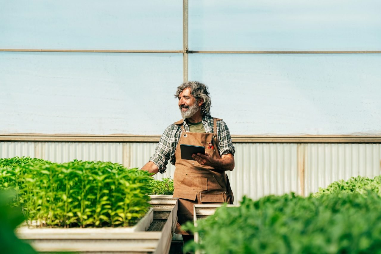 farmer-senior-man-working-in-his-farm-and-greenhouse.jpg