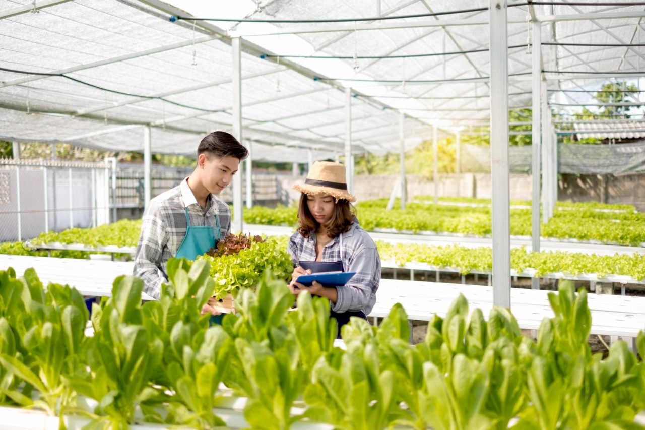 hydroponics-young-asian-farmers-examined-the-quality-of-organic-vegetables-grown-using-hydroponics.jpg