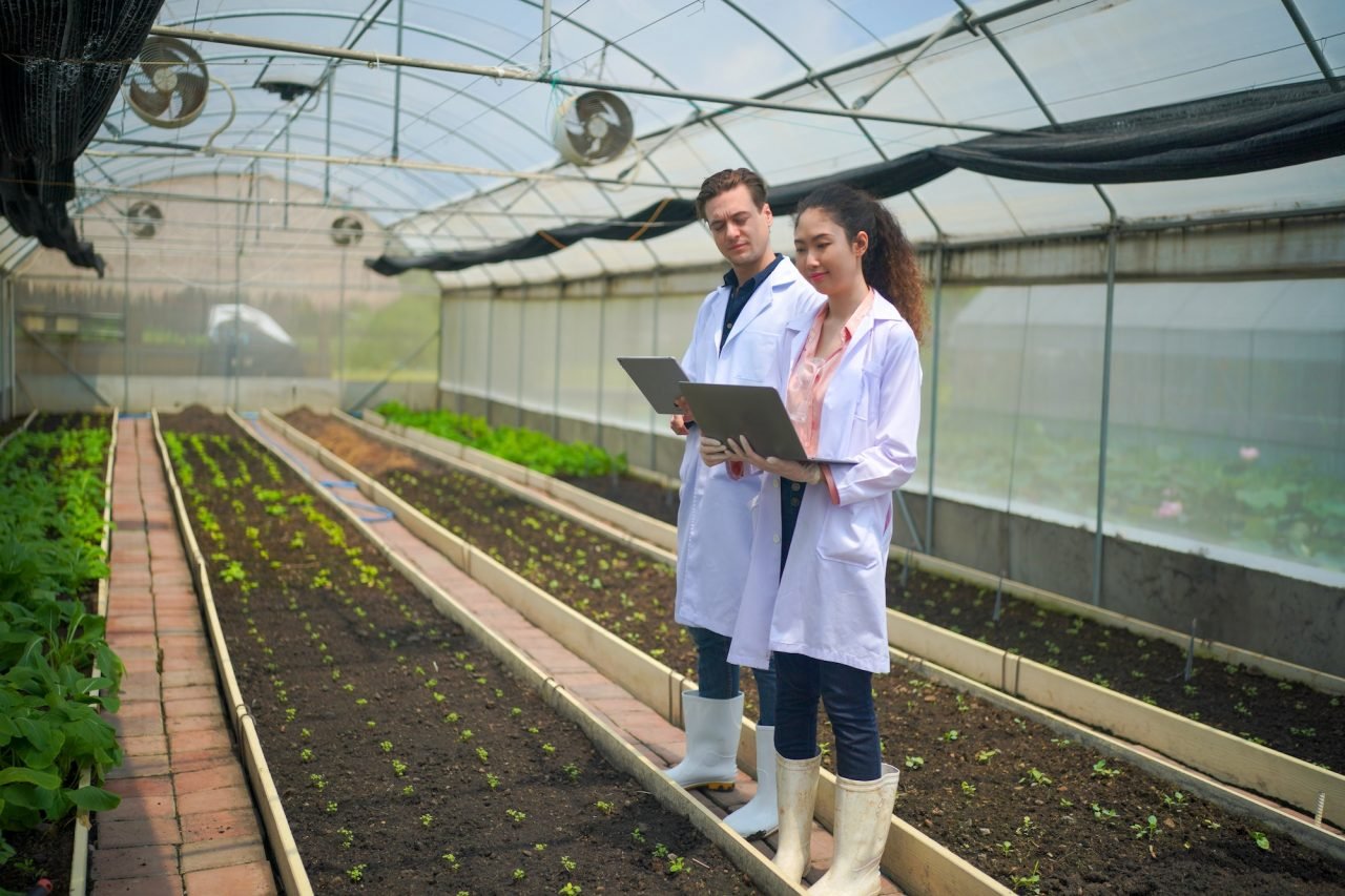 scientist-collecting-hydroponic-vegetables-sample-for-analysis-.jpg