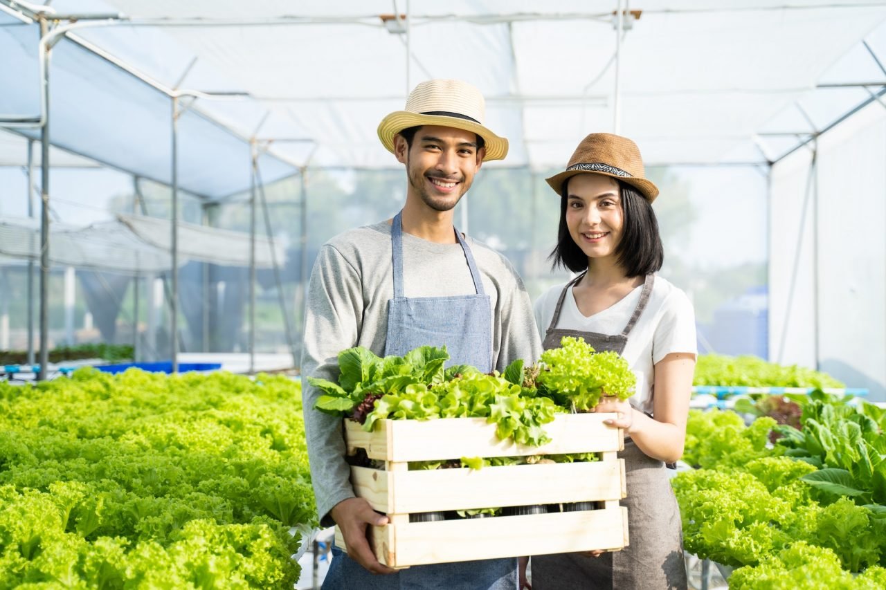 two-young-asian-couple-farmers-working-in-vegetables-hydroponic-farm-with-happiness-.jpg